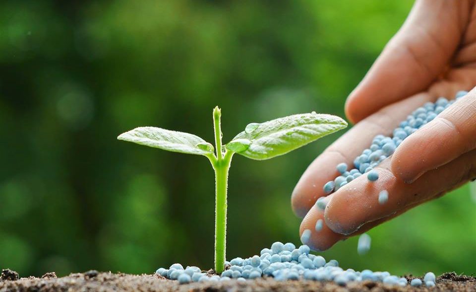 Análises de Fertilizantes